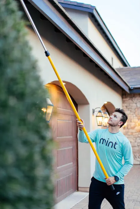 Mint Pest Control Picture 1