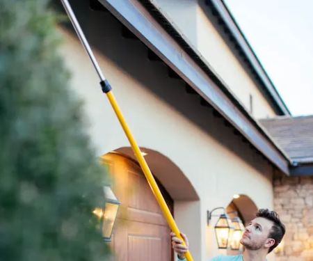 Mint Pest Control