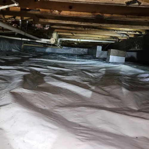 Cardinal Pest Control, LLC Picture 2