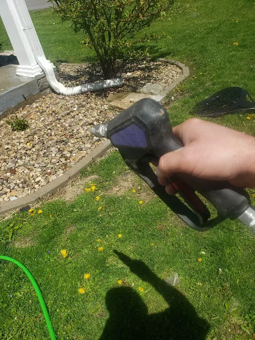 Kops pest control Picture 5