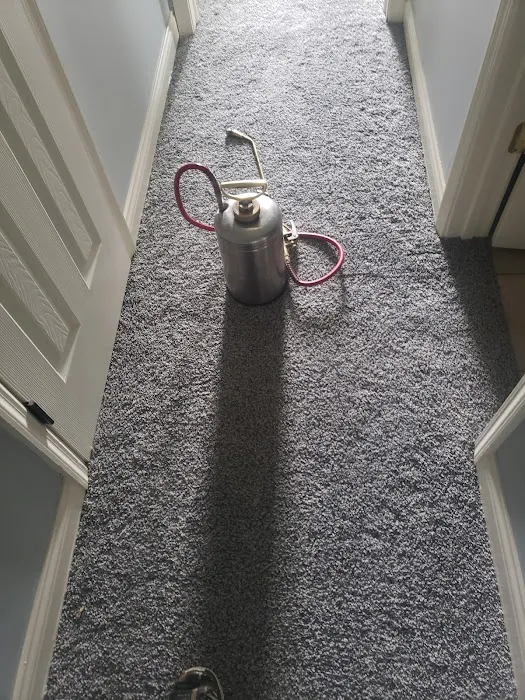 Kops pest control Picture 6