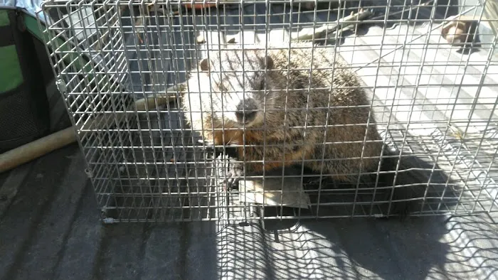 Wildlife Warrior Picture 1