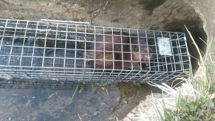 Wildlife Warrior Picture 6