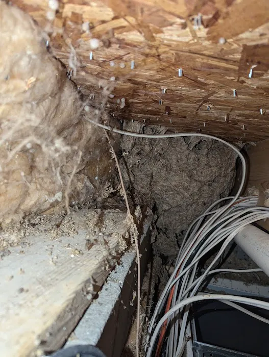 Whitaker Pest & Aquatic Solutions Picture 2