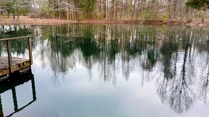 Whitaker Pest & Aquatic Solutions Picture 1