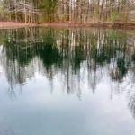 Whitaker Pest & Aquatic Solutions