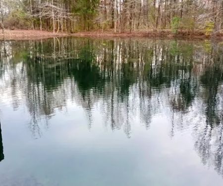Whitaker Pest & Aquatic Solutions