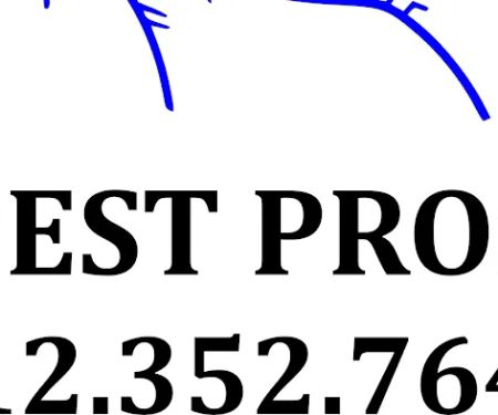 A1 Pest Pros