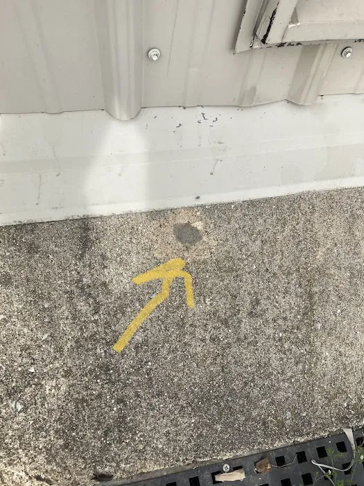 Rule One Pest Solutions Picture 8
