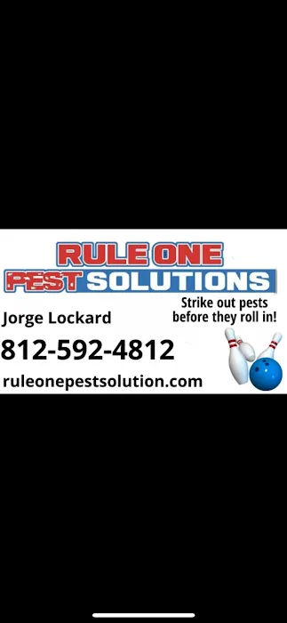 Rule One Pest Solutions Picture 7