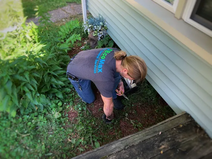Eco-Max Pest Control Services Picture 4