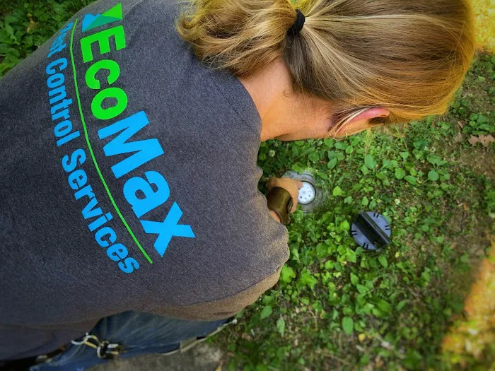 Eco-Max Pest Control Services Picture 9