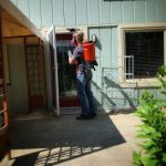 Eco-Max Pest Control Services