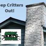 Animal Remover Harrison