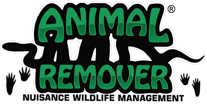 Animal Remover Harrison Picture 9
