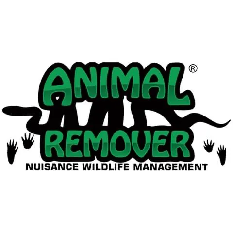 Animal Remover Harrison Picture 2