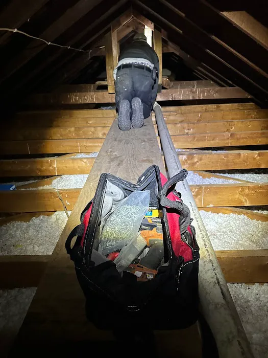 Same Day Wildlife Removal Picture 4