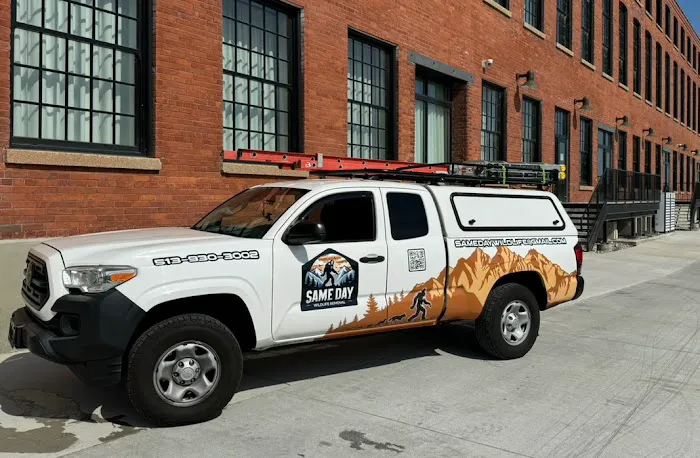 Same Day Wildlife Removal Picture 1