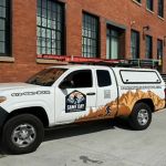 Same Day Wildlife Removal