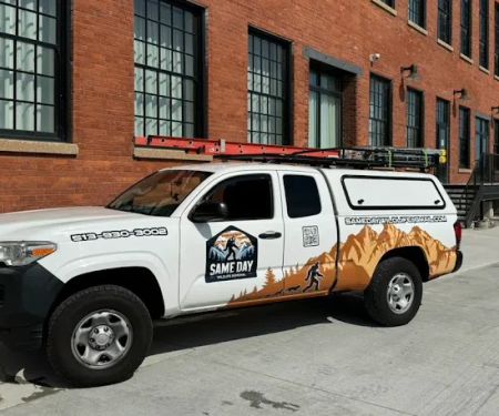 Same Day Wildlife Removal