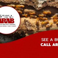 Arab Termite and Pest Control of Cincinnati, Inc. ico
