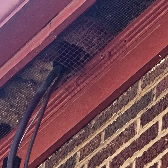 Black Diamond Pest Control Picture 9