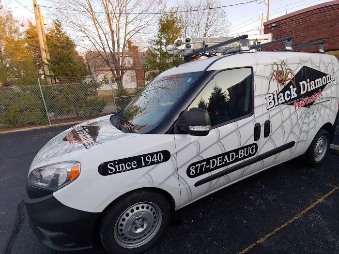 Black Diamond Pest Control Picture 1