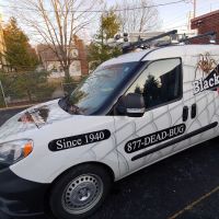 Black Diamond Pest Control ico