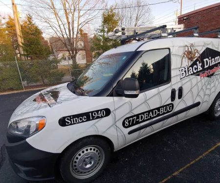 Black Diamond Pest Control