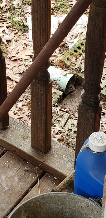 Full Force Pest Control Picture 3
