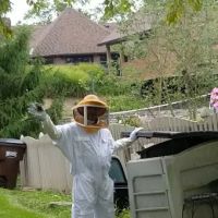Full Force Pest Control ico
