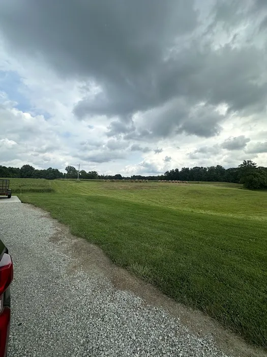 S&S Mole Removal Picture 1