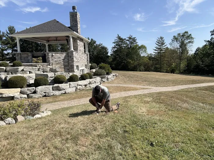 S&S Mole Removal Picture 6