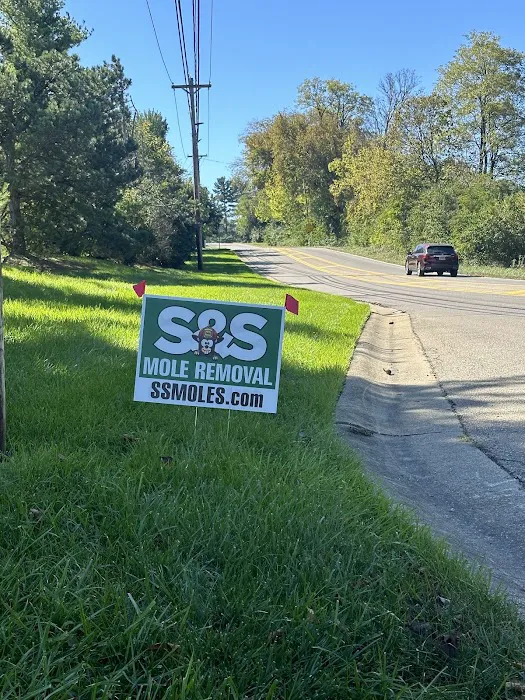 S&S Mole Removal Picture 8