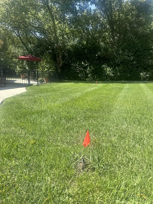 S&S Mole Removal Picture 7