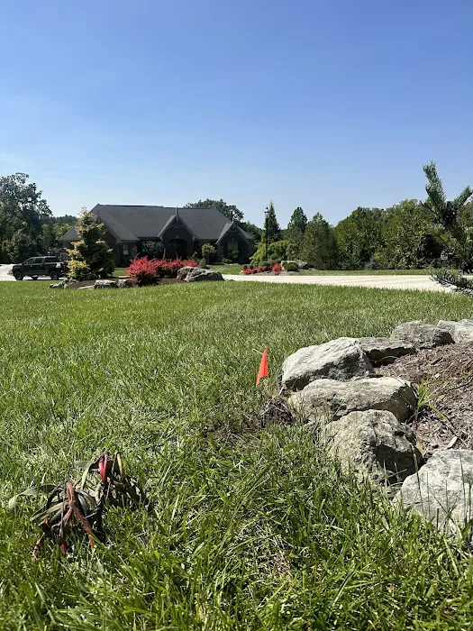 S&S Mole Removal Picture 10