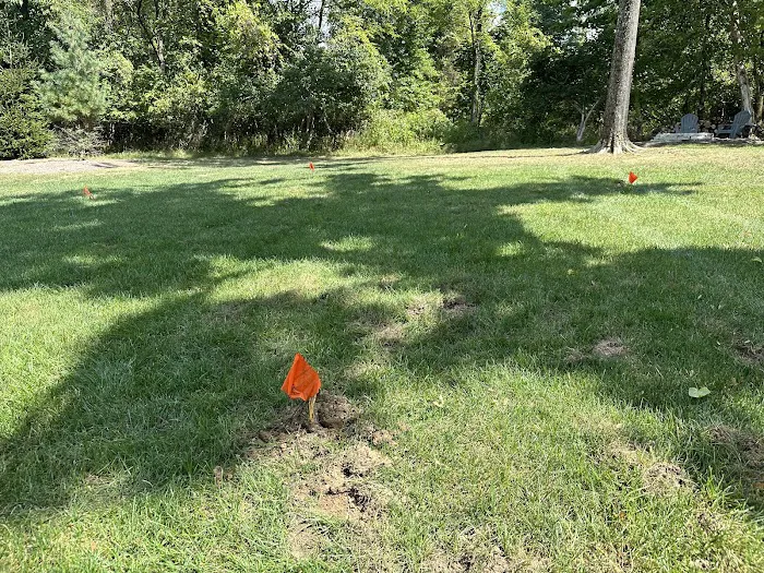 S&S Mole Removal Picture 9