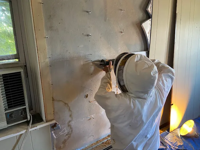 Romans Pest Management LLC Picture 2