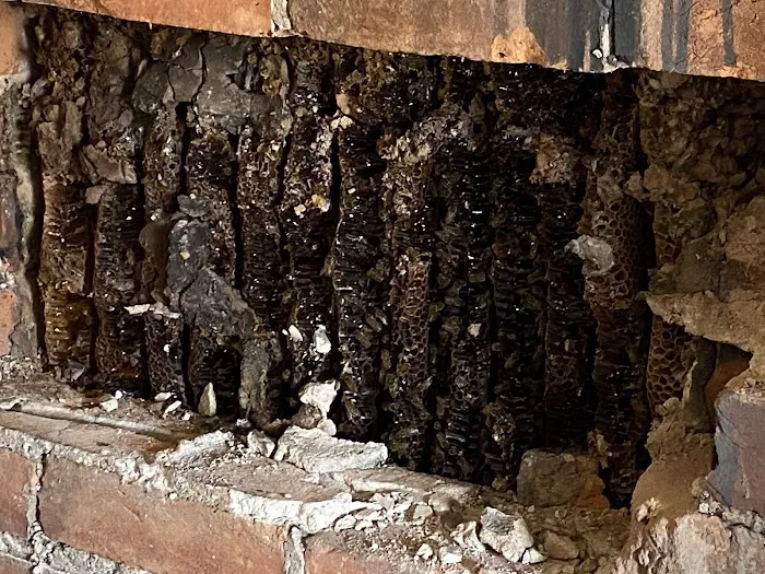 Romans Pest Management LLC Picture 10