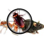 A-L-S Pest Control