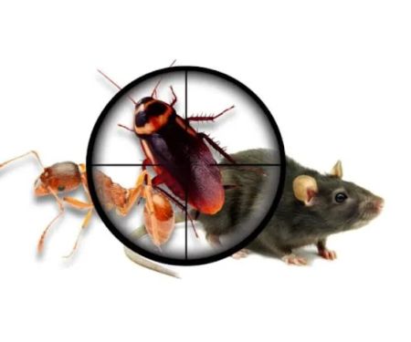 A-L-S Pest Control