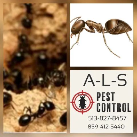 A-L-S Pest Control Picture 10