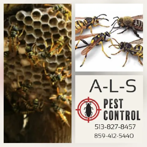 A-L-S Pest Control Picture 5