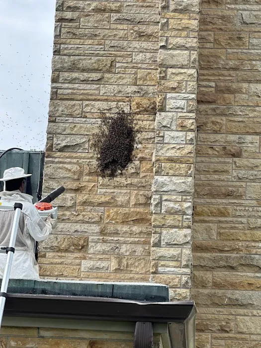 Irish Brothers Pest Control Picture 4