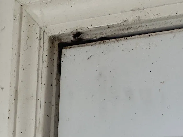 Irish Brothers Pest Control Picture 2