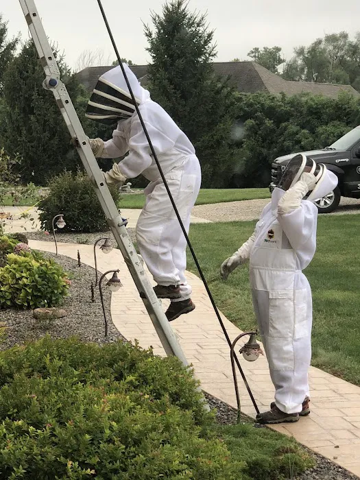 Irish Brothers Pest Control Picture 5