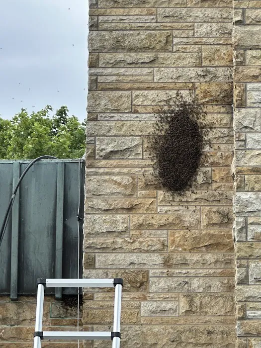 Irish Brothers Pest Control Picture 10