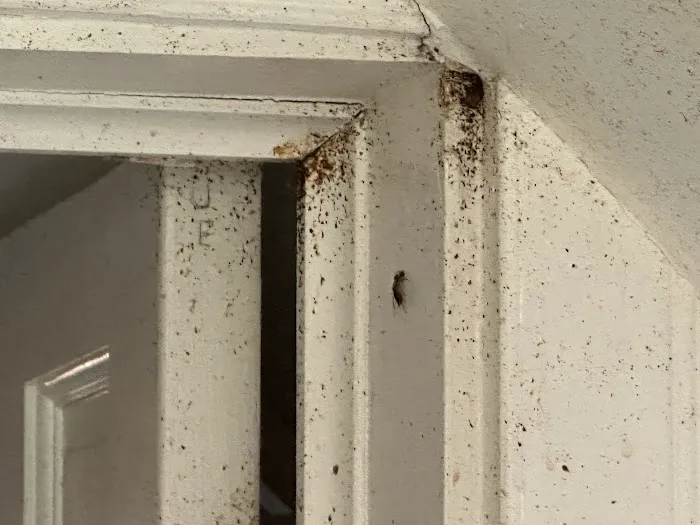 Irish Brothers Pest Control Picture 1
