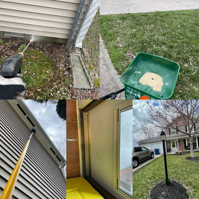 Hawx Pest Control Picture 7