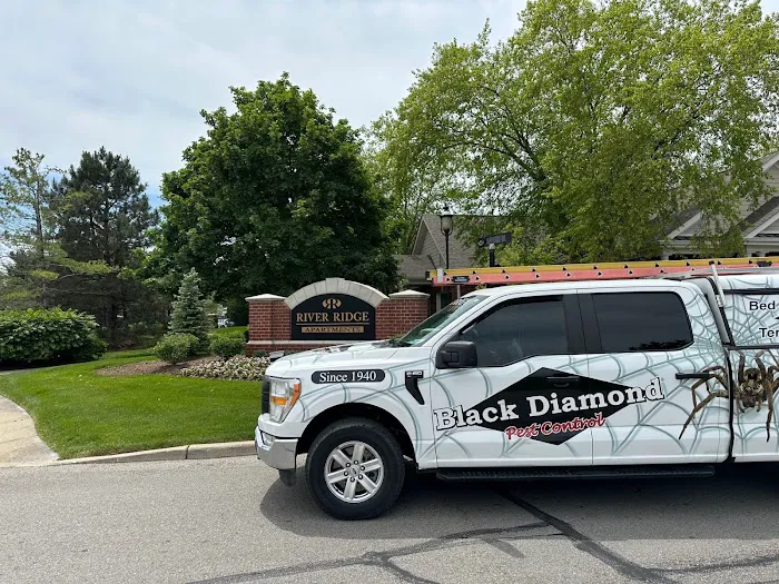 Black Diamond Pest Control Picture 6